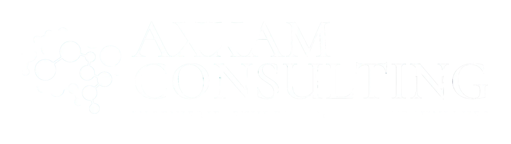 Axxam Consulting