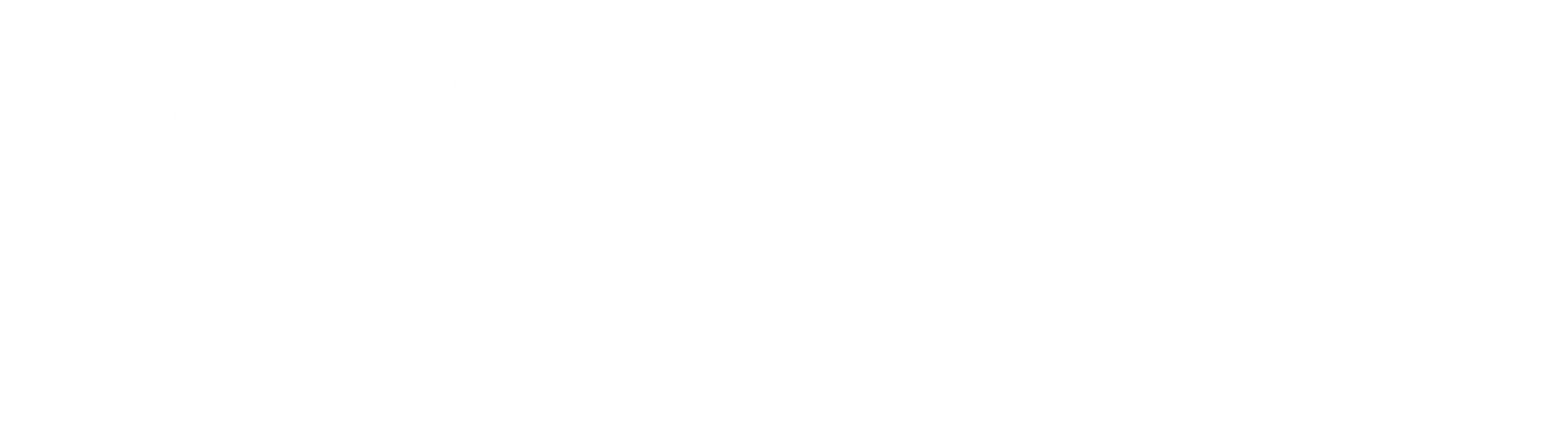 Axxam Consulting